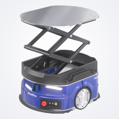 Sorting robot